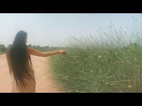 Padé  - Heaven [Official Music Video]