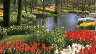 Zülüf Dökülmüş Yüze -- Eyüp Sultan AYLAR