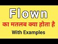 Flown Meaning in Hindi | Flown ka Matlab kya hota hai | Word Meaning English to Hindi