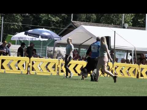 SV Bundes FCI 2022 in Langenberg / LG 07