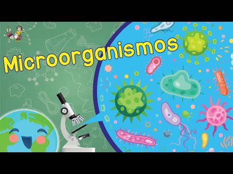 ¿Qué son los Microorganismos? (Videos Educativos para Niños)