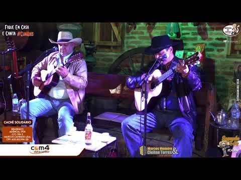 25 - O Gavião e a Andorinha