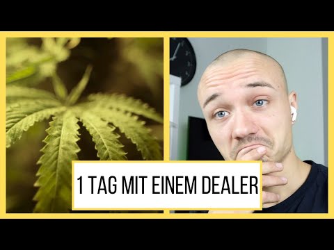Tom Pausse reagiert auf "1 Tag mit einem Dealer - So läuft das Geschäft mit den Drogen!"