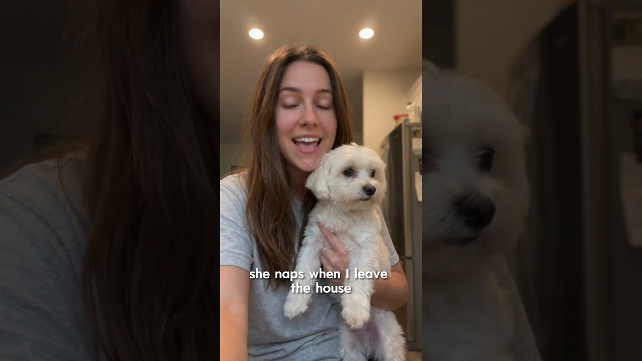 WagnificUGC