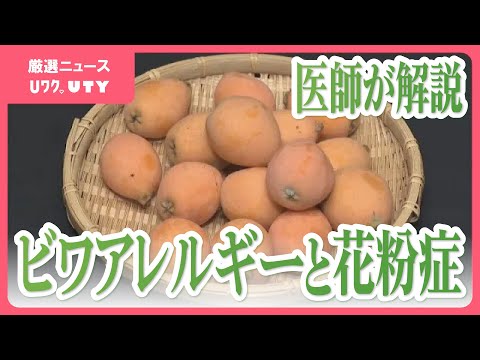 庭に植えてはいけないアレルギー誘発性の植物 ジャスミンの代替品