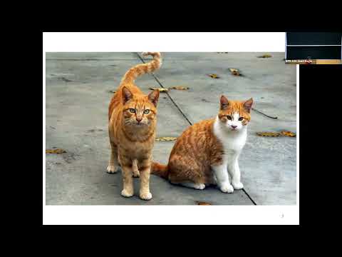 CMU Introduction To Deep Learning 11-785, Fall 2026: Lecture 10