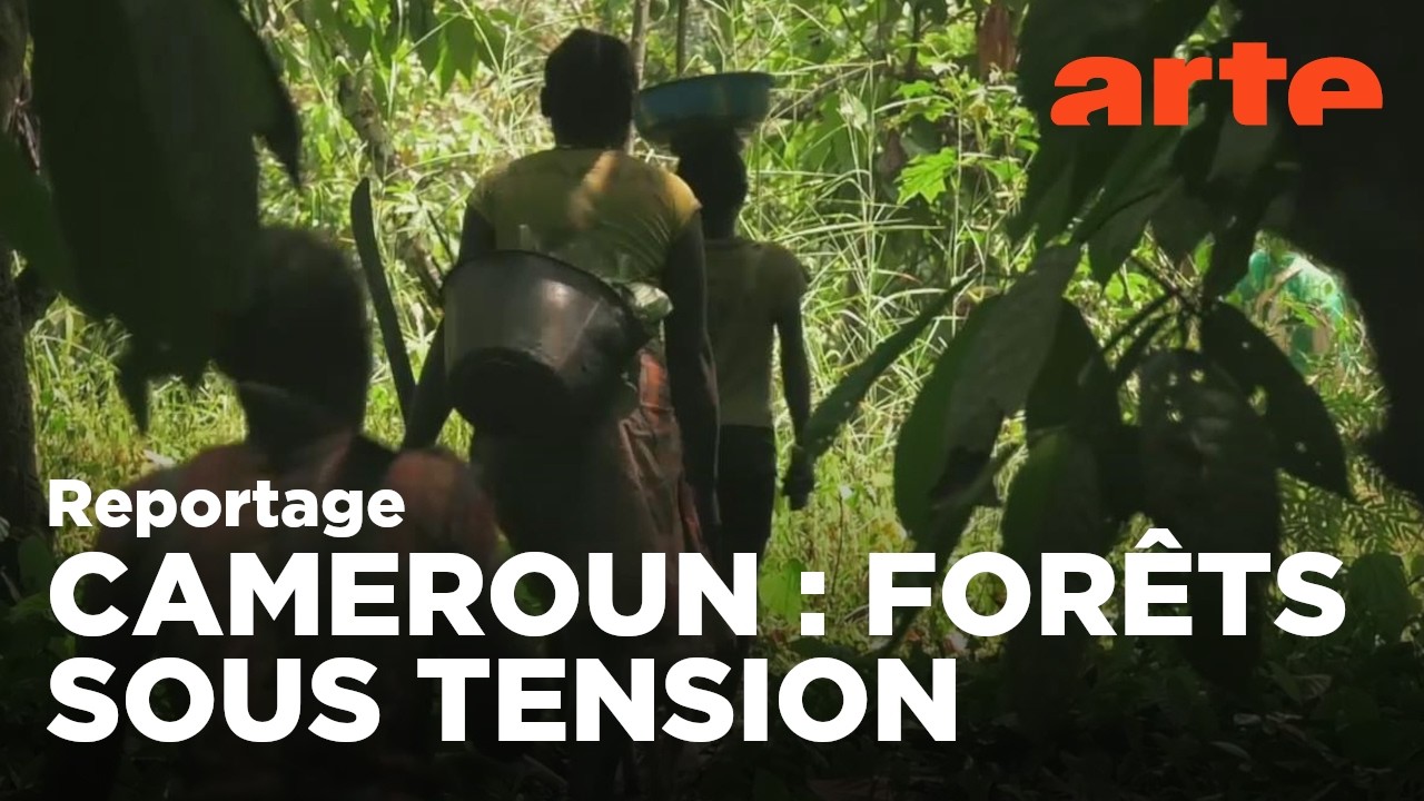 Cameroun : la terreur verte | ARTE Reportage (2018)