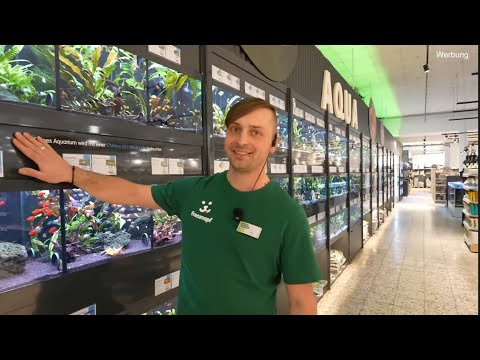 Zu Besuch in der Aquaristik bei Kay im Fressnapf XXL Osnabrück - StoreGuide