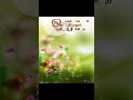 Nee Varuvai Ena Status Song Nee Varuvai Ena Status Song