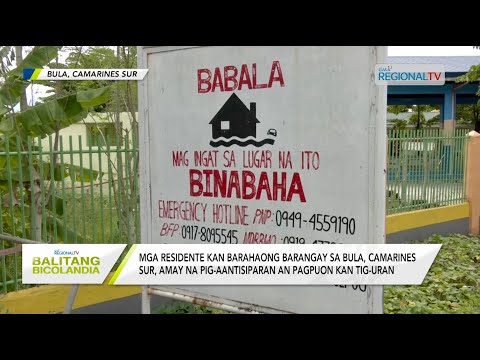 Balitang Bicolandia: Mga residente kan barahaong barangay sa Bula, nagaandam na sa tig-uran
