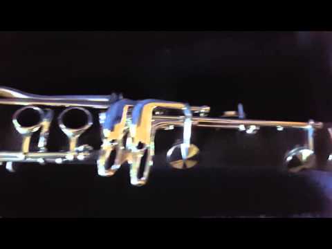 Clarinete JP021 $240USD