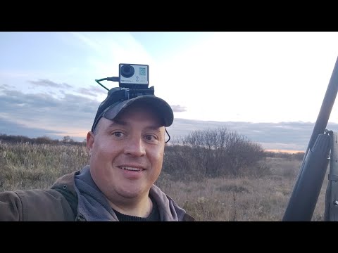 Лютая вечерка на утку💪