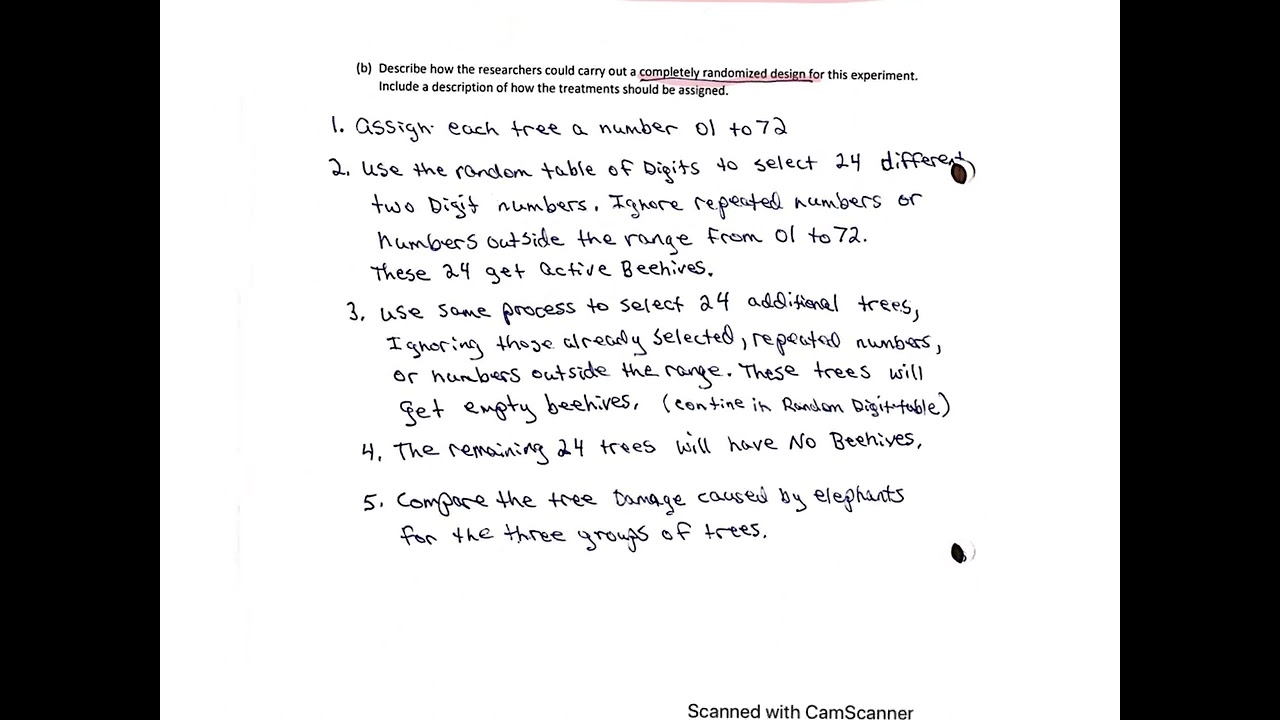 Chapter 4 Test Review Key