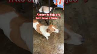 24 de fevereiro de 2026