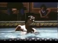 Funkdoobiest Wopbabalubop 