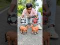 2 Ta Rc Horse Unboxing