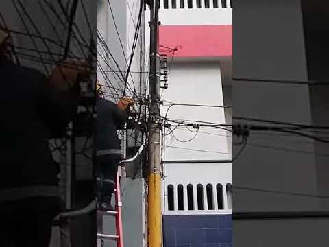 download lagu mp3 mp4 Gato Huia, download lagu Gato Huia gratis, unduh video klip Gato Huia