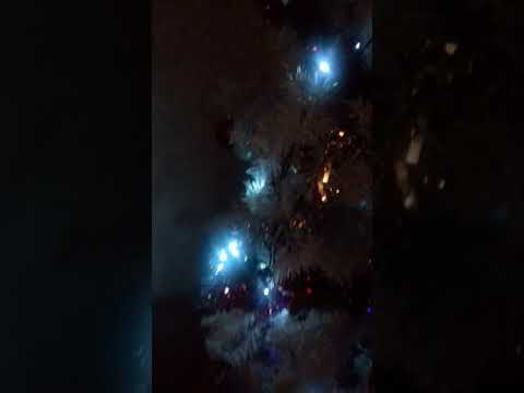 When your mum comes home pissed slatting the tree