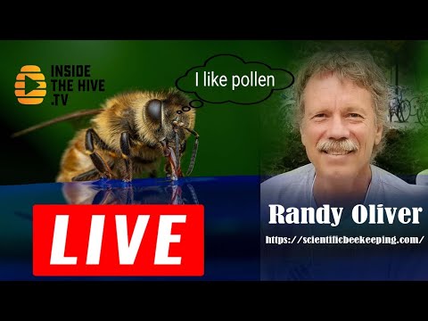 , title : 'What is the best feed supplement for honey bees? - Randy Oliver'