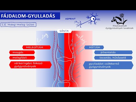 vitamin izületi gyulladásra