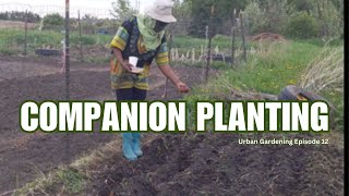 Benefits of Community Gardening Using Skills from My African Village