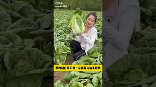 Baby Face Vegitables