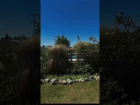 El Alma de Yacanto, Villa Yacanto de Calamuchita, hospedate en las sierras! con visita al Champaqui