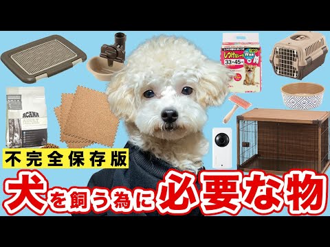 15 犬の世話