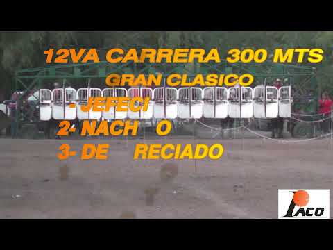 JEFECITO HIPODROMO 3 LUCES SERREZUELA 21  1 23