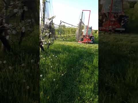 Diradamento meccanico  con Darwin