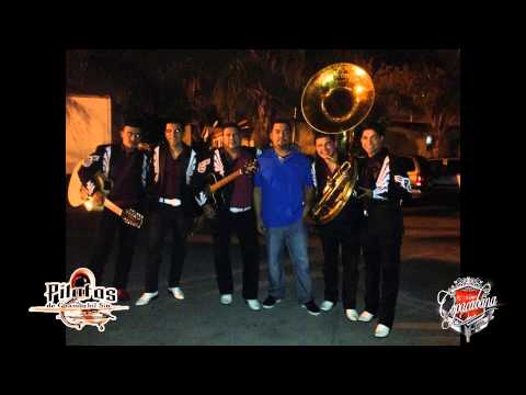Pilotos De Guamuchil - Mix 2014 El Cholo Diaz El Karma