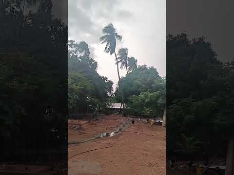 🌧️ ¡ESTÁ CASI QUE CAE LA LLUVIA EN LA PACHA!