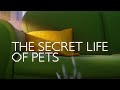 The Secret Life Of Pets 2 FXX Promo