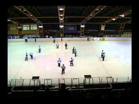 08.02.2014. HK Partizan - Tisza Volan - 3. trecina