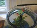 Aqua The Killer Fish