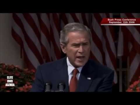 Bush Jenga