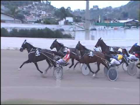 Trotto 10/01/2017 - 3ª corsa