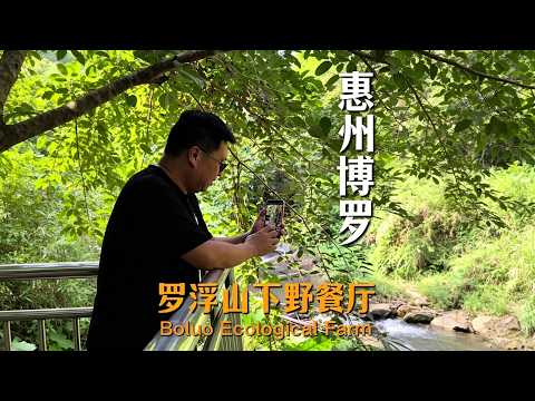 羅浮山下野餐廳 惠州博羅｜我終於體會到蘇東坡爲什麼留戀羅浮山了，這裡菜是鮮的水是清的空氣是甜的，關鍵還隱藏着一家夠原生態的農莊 #惠州美食 #food #羅浮山