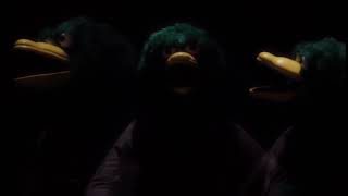 Cover art for What about my shredder