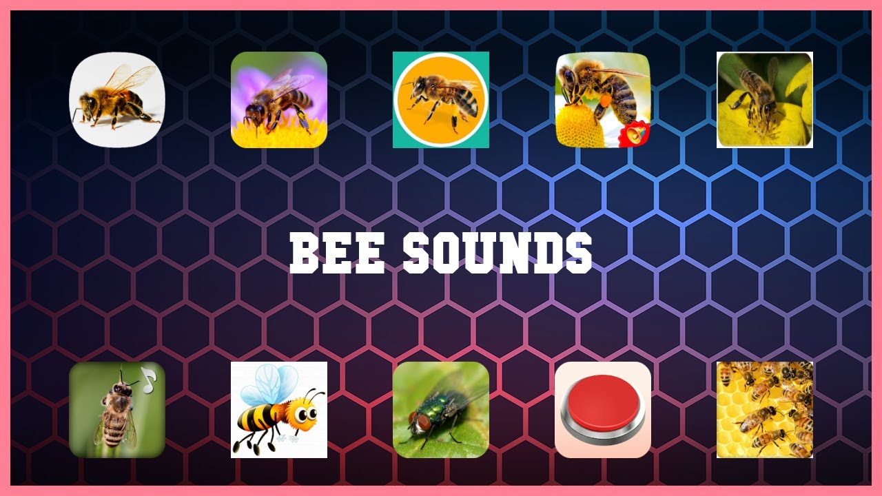 Top 10 Bee Sounds Android Apps