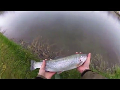 2 Kast 2 Fisk