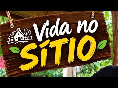 MOSTRANDO COMO FOI  MEU DIA NO SÍTIO - Jaguaripe ba