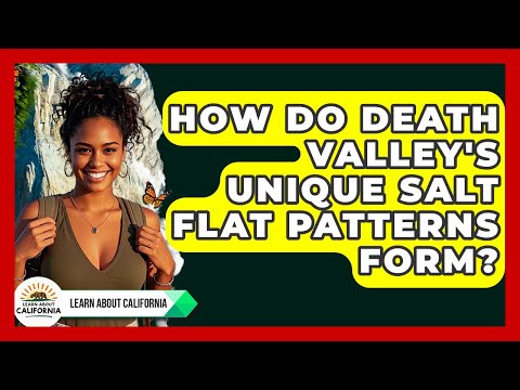 How Do Death Valley's Unique Salt Flat Patterns Form? - Learn About California