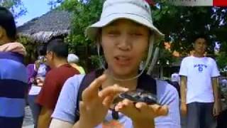 Eco Wisata Pulau Seribu