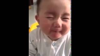 Whatsapp Funny Videos Funny Baby - Funny Baby Vide