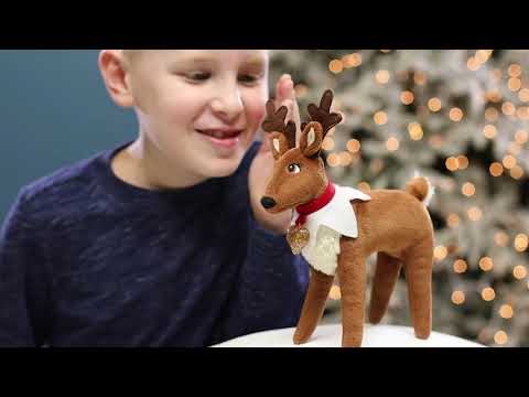 Christmas Magic with Elf Pets®