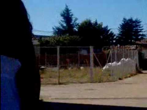 {OSORNILLO (Palencia)}