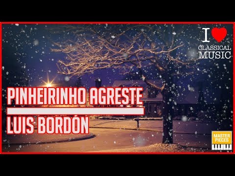 NATAL EM DOSE DUPLA - PINHEIRINHO AGRESTE | LUIS BORDÓN 🎵
