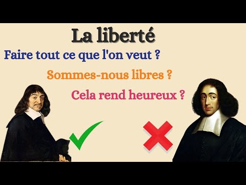 Freedom - Philosophy - Final Year