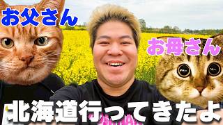 【旅行】北海道6日間で色んな旅してきました！ので見てね